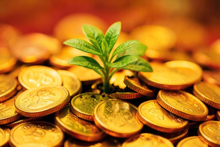 Uma planta crescendo de moedas, simbolizando o crescimento e o retorno do investimento em publicidade digital.