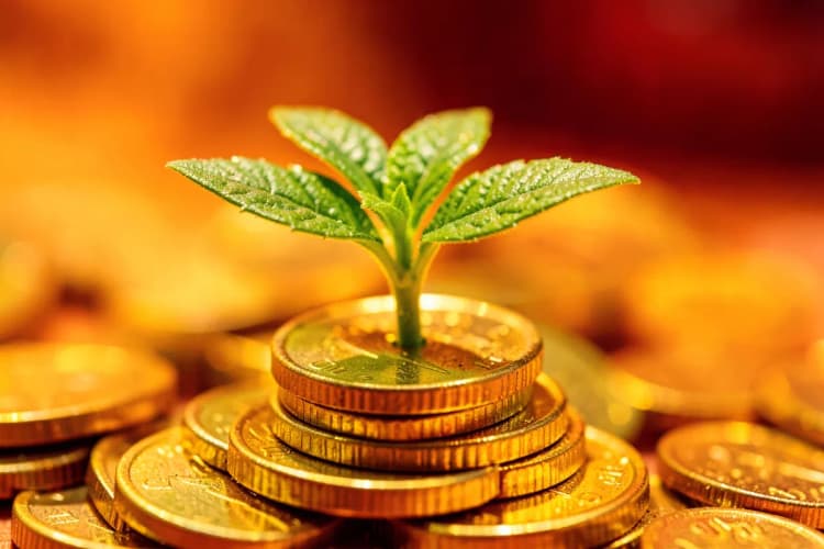 Uma planta crescendo em uma pilha de moedas de ouro, simbolizando crescimento financeiro.